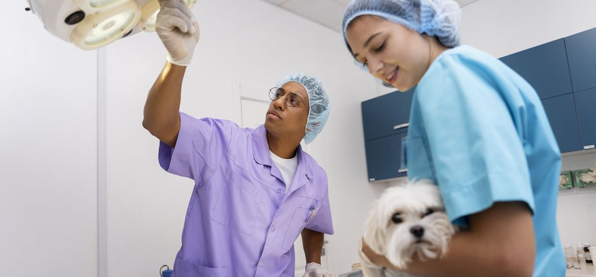 Veterinary Clinic Cleaning